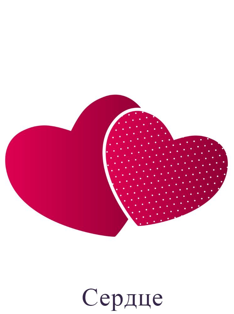 Сердце
