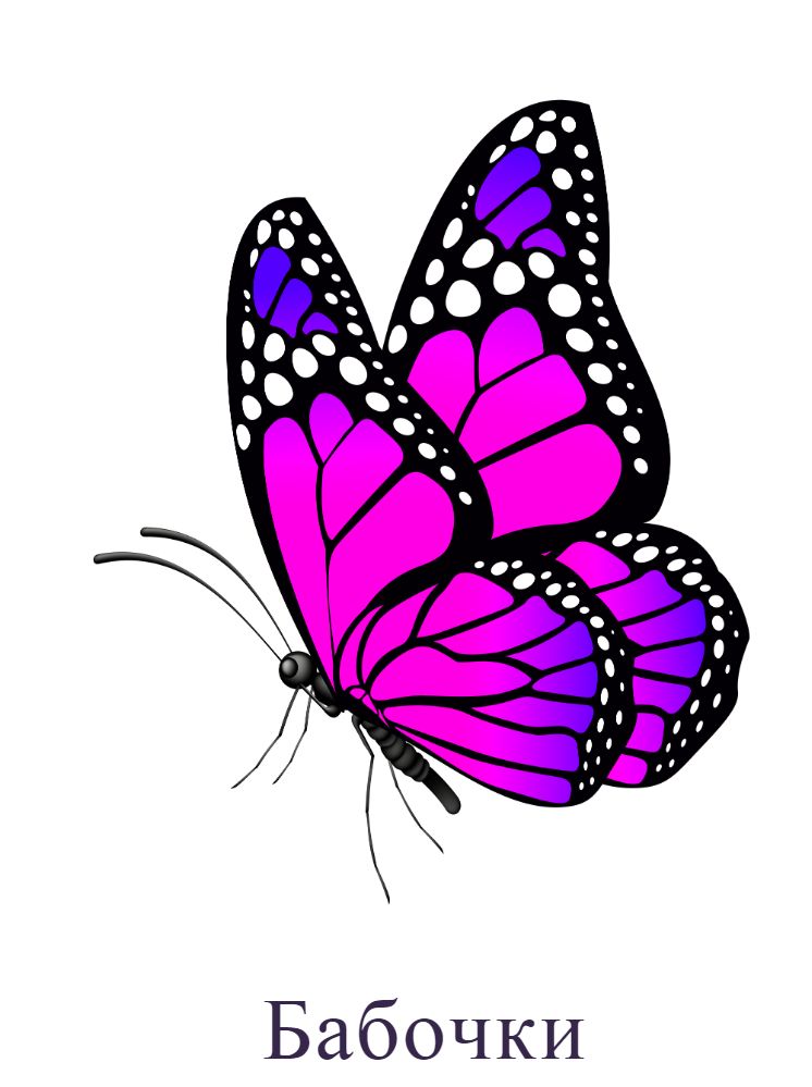 Бабочки