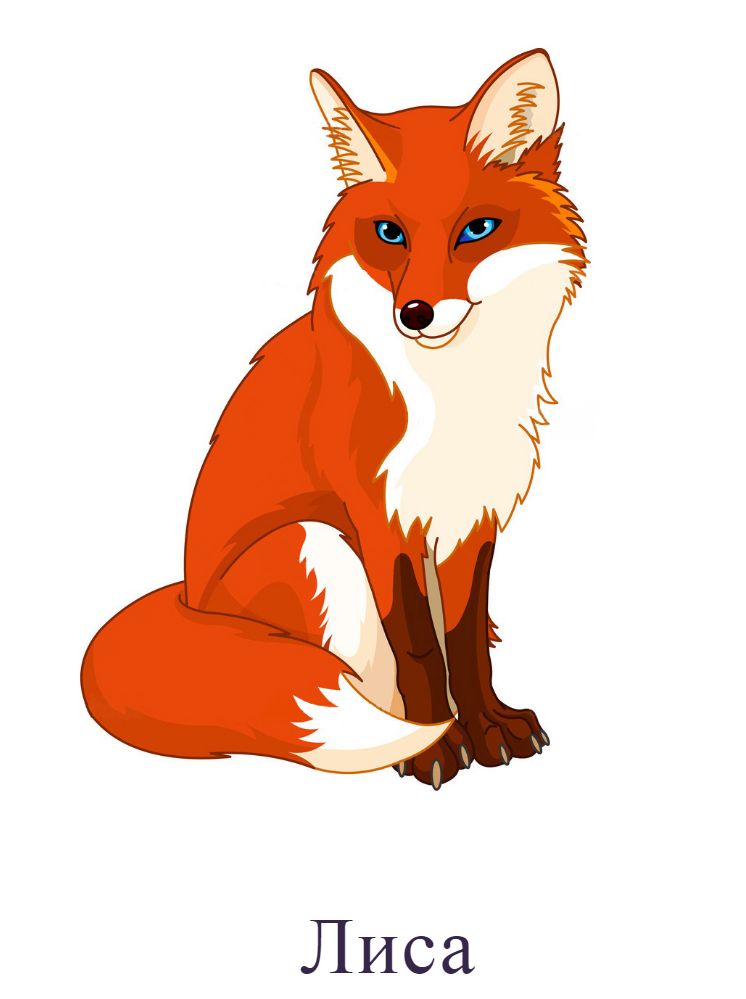 Лиса