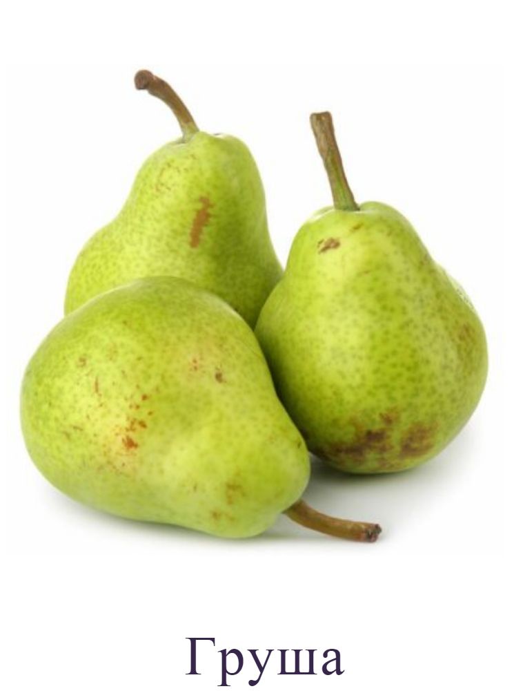 Груша