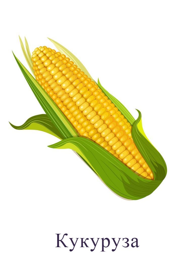 Кукуруза