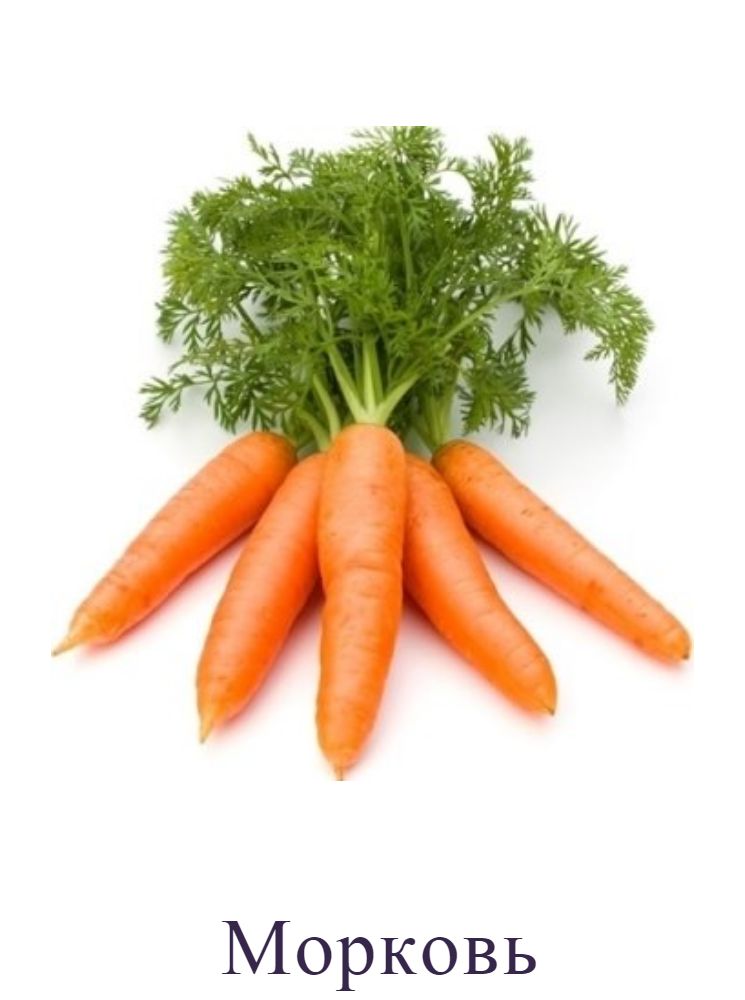 Морковь