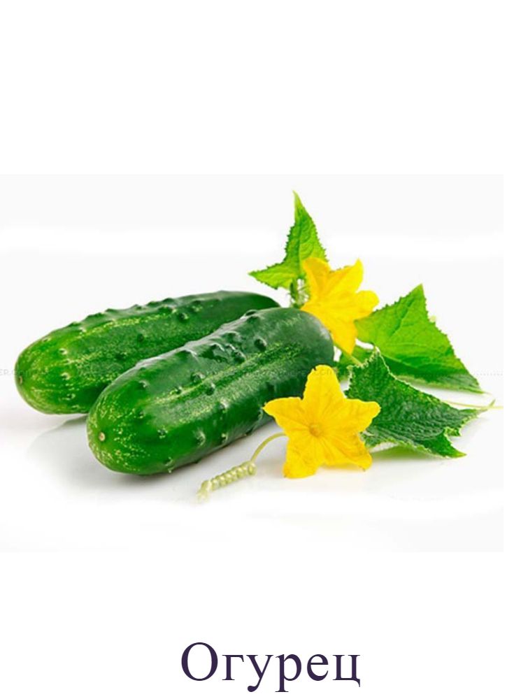 Огурец