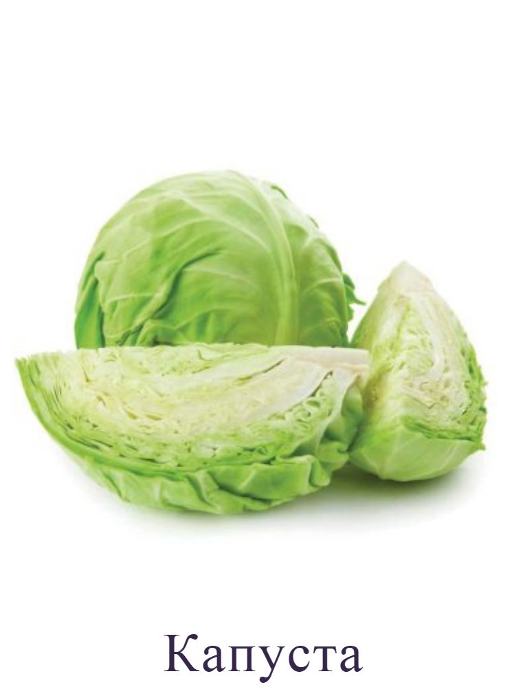 Капуста