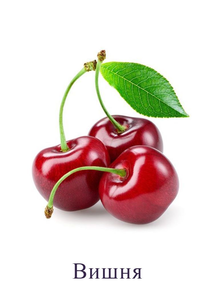 Вишня