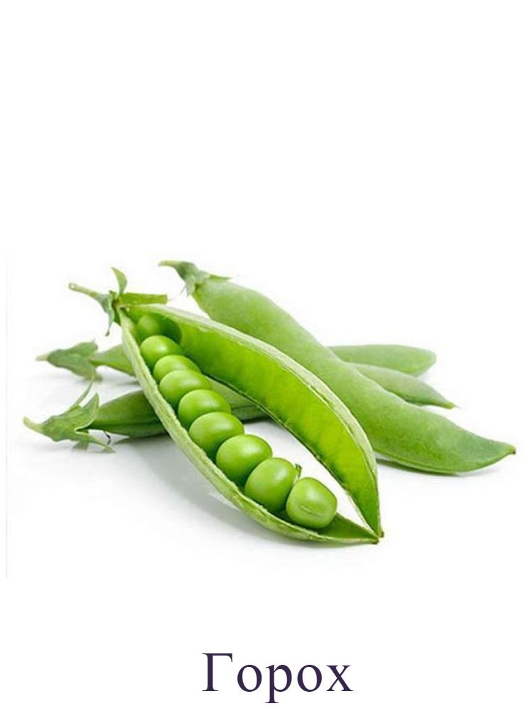 Горох