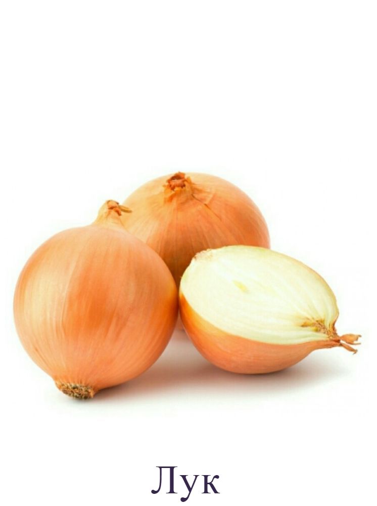 Лук