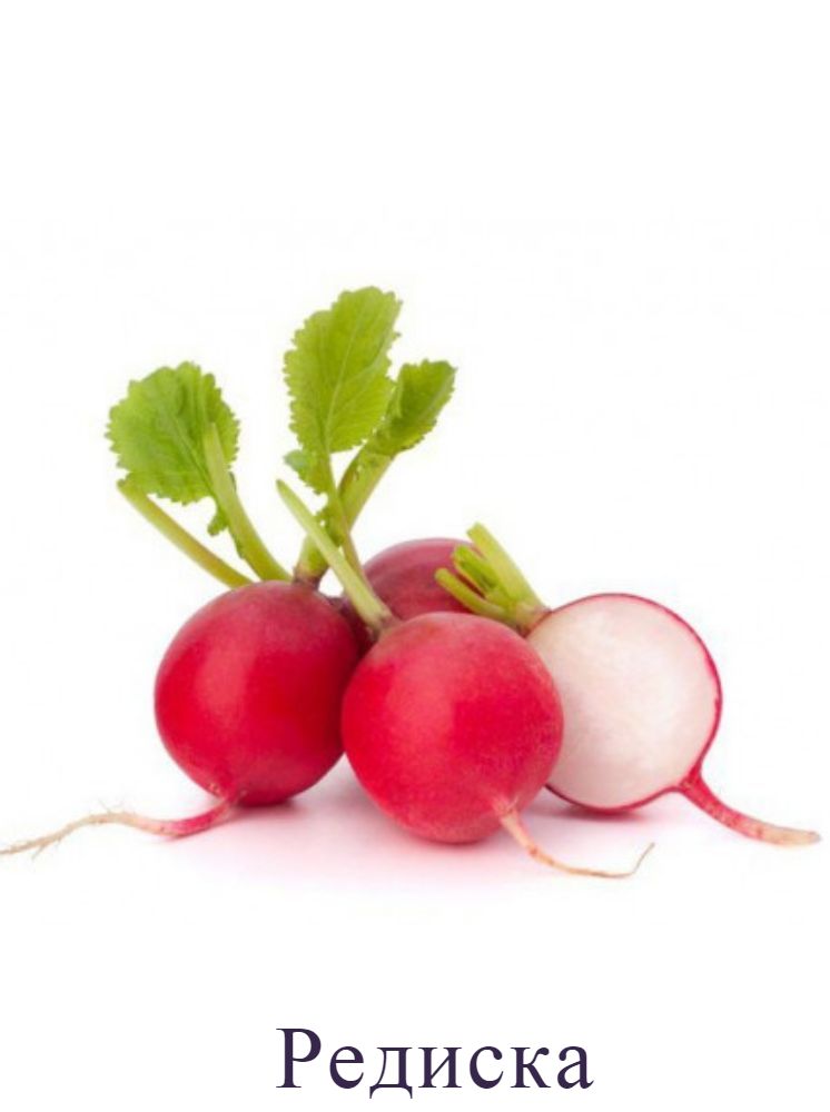 Редис
