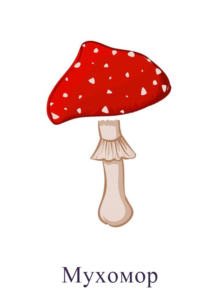 Мухомор