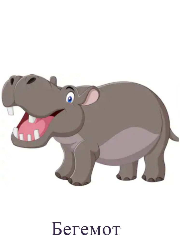 Бегемот