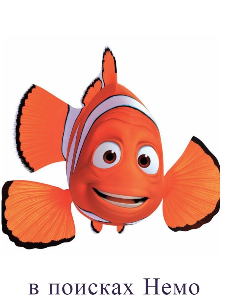 Немо в поисках
